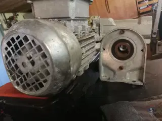 Gear motor
