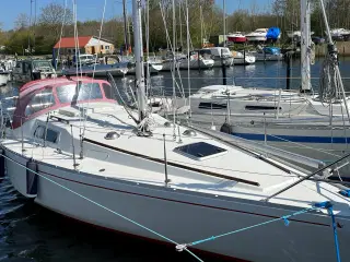 Scampi 30, sejlbåd