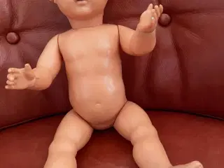 Perledukke