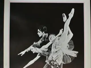 the royal ballet at covent garden, by david vaugha