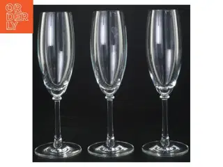 Champagneglas (str. 21 x 7 cm)