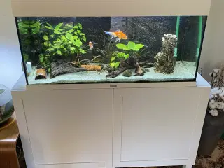 Juwel rio akvarie 180L
