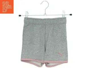 Grå shorts fra Puma (str. 98)