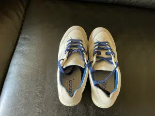 Damesko model Ecco