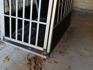 Transportbur