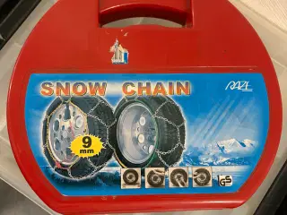 Snekæder 9 mm - været på en Chevrolet cruze