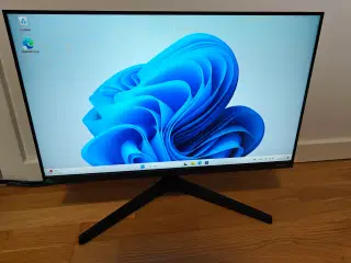 Samsung 24" FHD skærm LF24T374FWR 75 Hz.