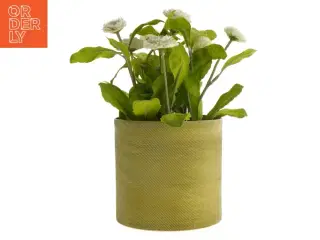 Kunstig plante med potte fra IKEA (str. 12 cm)