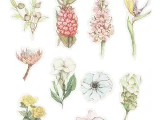 Washi stickers, blomster, str. 25-60 mm, 30stk./ 1 pk.