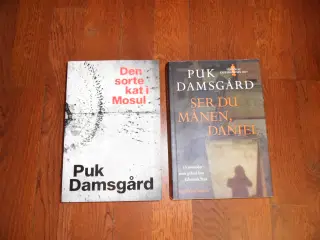 Den sorte kat i Mosul. Ser du månen, Daniel