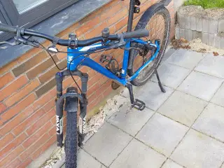 Jensen cykel