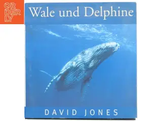 Wale und Delphine af David Jones (Bog)