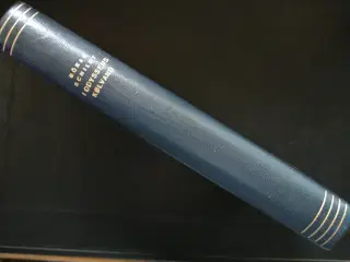 i odysseus kølvand, af göran schildt