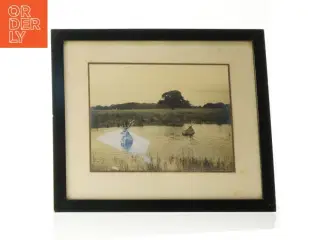 Indrammet fotografi af hjorte (str. 37 x 32 cm)