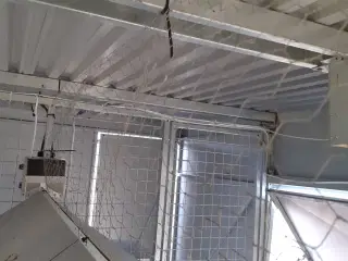 Chicken caravan 450