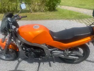Nysynet Suzuki gs500e nysynet 