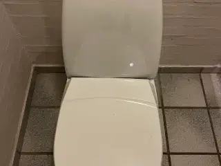 IFÖ Toiletter