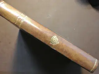 kongens fald, af johannes v. jensen, genre: roman