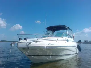 Rinker Fiesta ved 242 med defekt motor