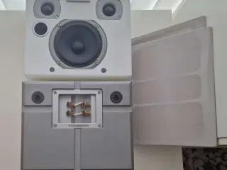 Audiovector K-XX baghøjtalere, Aalborg