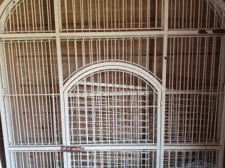 Papegøje bur