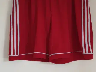 Adidas shorts 