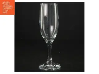 Champagneglas (str. 18 cm)