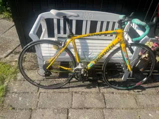 Carbon racer