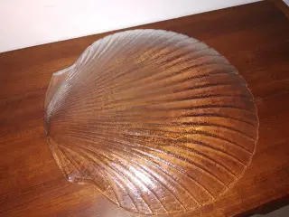Glas musling fad