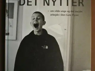 det nytter - om vilde unge og det sociale arbejde 
