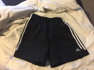 Sorte Adidas shorts