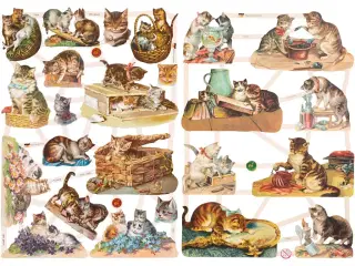 Glansbilleder, katte, ark 16,5x23,5 cm, 2ark/ 1 pk.