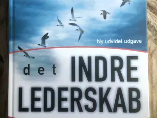 Det indre lederskab, Sebastian Nybo