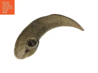 Naturlig horn dekoration (str. 30 cm)