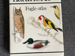 Lademanns Naturfører - Fuglearlas