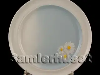 Marguerit Kagefad Rundt 28 cm.