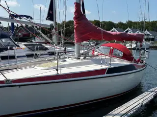 Maxi 87