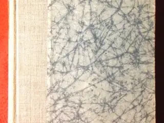 Carl Ewald: Min lille Dreng