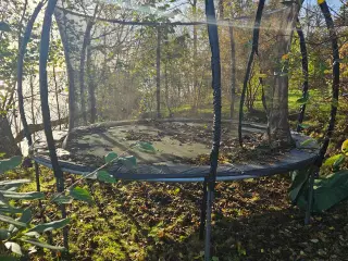 Trampolin