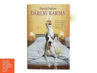 Dårlig Karma af David Safier (Bog)