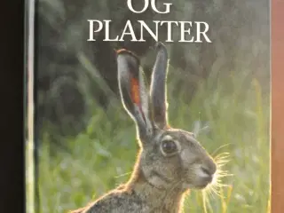 danmarks dyr og planter, af mogens andersen og jon