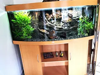 Juwel Akvarium 450 L