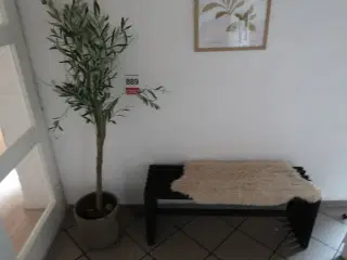 Plante & bænk