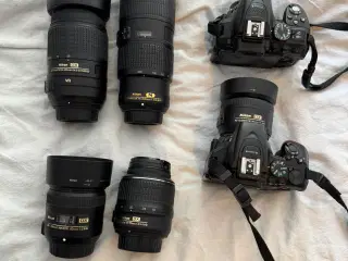 Supervelholdt Nikon fotoudstyr