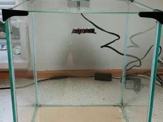 19 liters reje akvarie sælges
