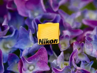 Nikon Logo Jakkenål