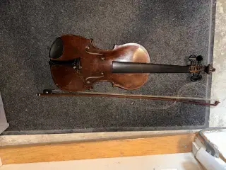 Violin