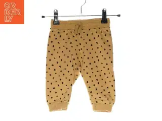 Sweatpants fra H&M (str. 74 cm)