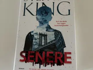 Stephen King - Senere