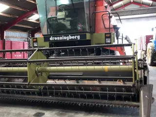 Majetærsker søges 